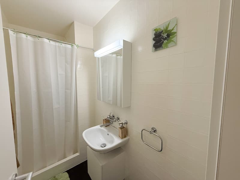 modern bathroom, white tiled walls, white sink, mirror, shower curtain, silver towel rack, small green rug