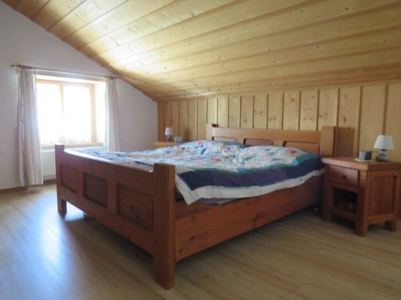 FERME TYPIQUE DES FRANCHES-MONTAGNES (5)
