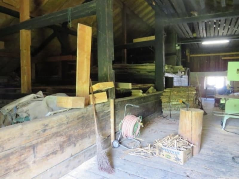 FERME TYPIQUE DES FRANCHES-MONTAGNES (14)