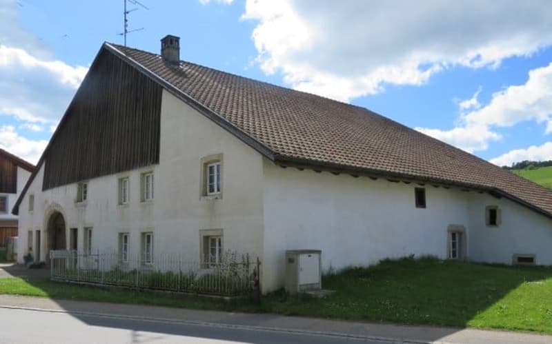 FERME TYPIQUE DES FRANCHES-MONTAGNES (16)