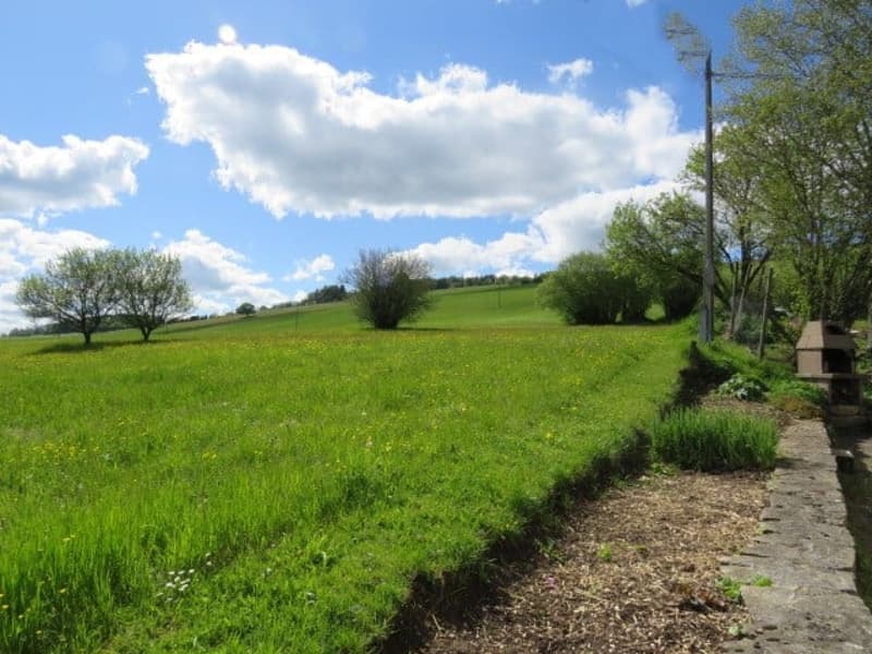 FERME TYPIQUE DES FRANCHES-MONTAGNES (15)
