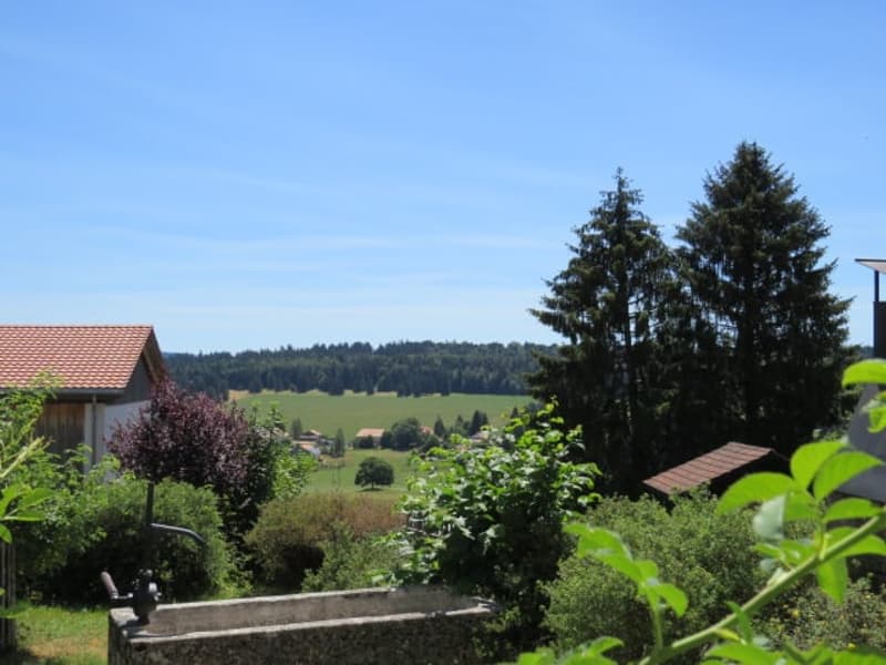 Family house located in a very quiet residential area with a beautiful view of the Chasseral (2)