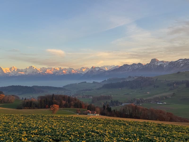 Arriver, se sentir bien, être chez soi – avec une vue montagnarde de rêve (11)