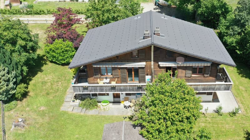 Seltene Gelegenheit mit aussergewöhnlichem Potenzial! (8)