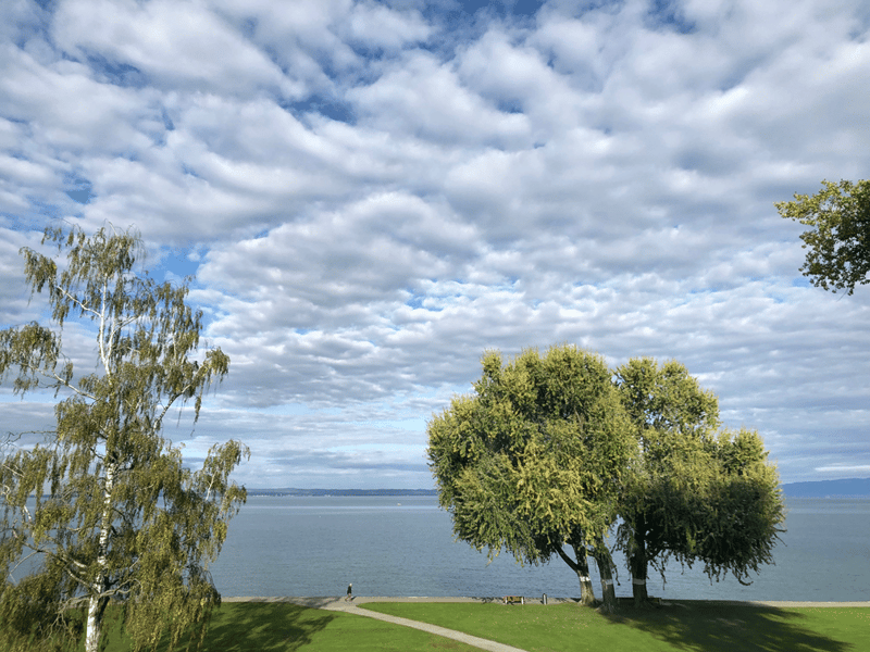 Living by the lake - direct lake view (7)