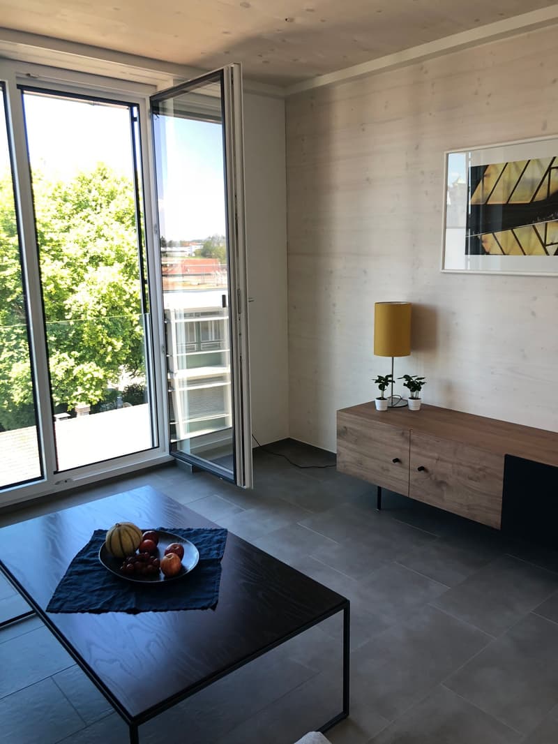 Wohnen am See - Maisonettewohnung auf dem ZIK-Areal (4)