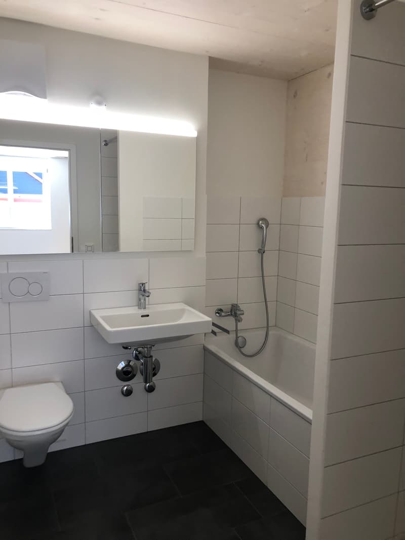Wohnen am See - Maisonettewohnung auf dem ZIK-Areal (9)