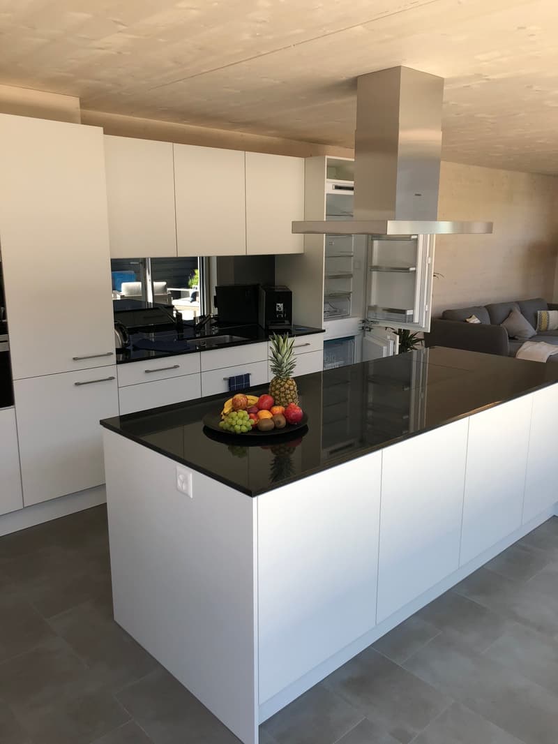 Wohnen am See - Maisonettewohnung auf dem ZIK-Areal (3)