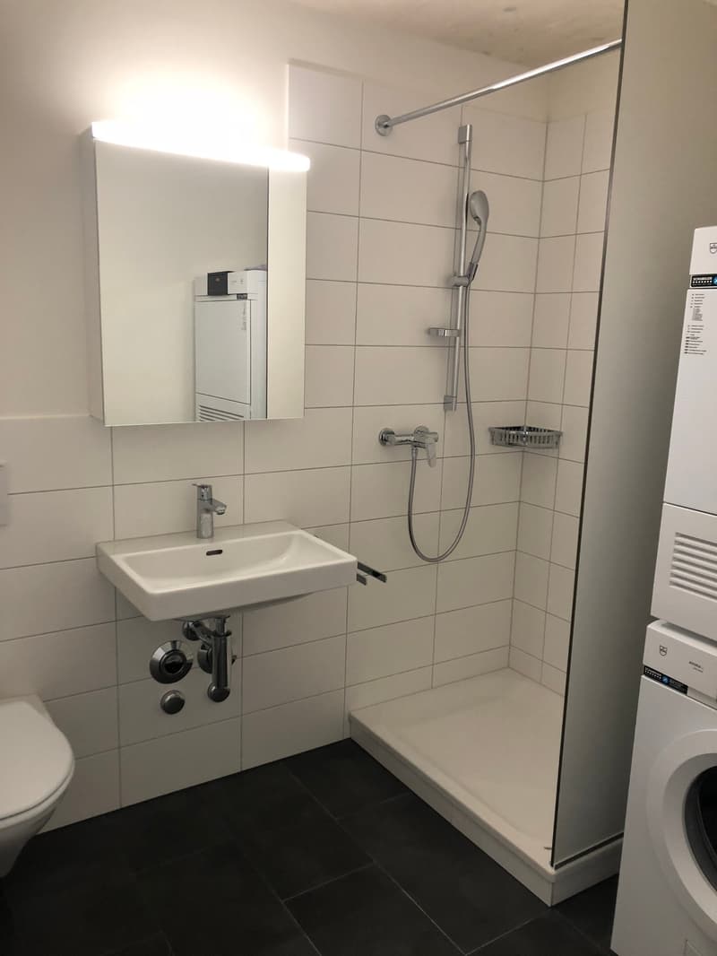 Wohnen am See - Maisonettewohnung auf dem ZIK-Areal (8)