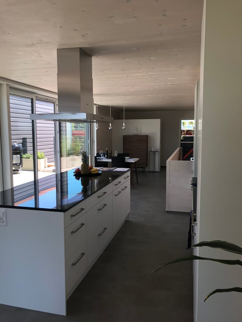 Wohnen am See - Maisonettewohnung auf dem ZIK-Areal (2)