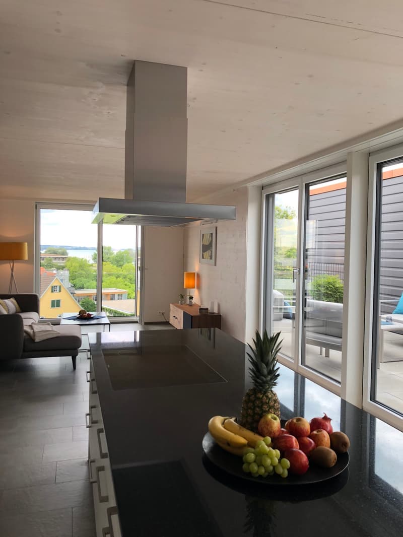 Wohnen am See - Maisonettewohnung auf dem ZIK-Areal (1)