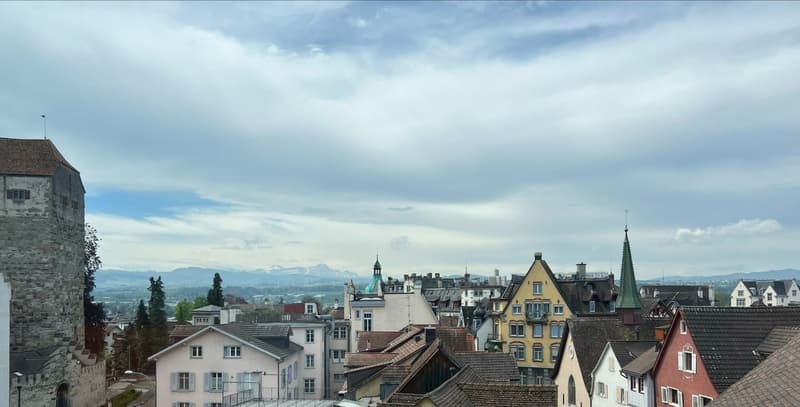 Aussicht aus Wohnzimmer auf den Alpstein