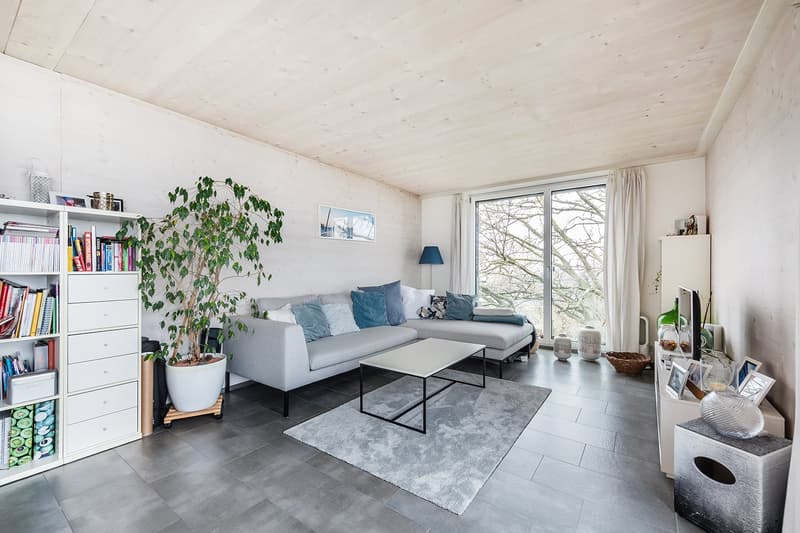 Wohnen mit atemberaubender Seesicht - Maisonettewohnung auf dem ZIK-Areal (3)