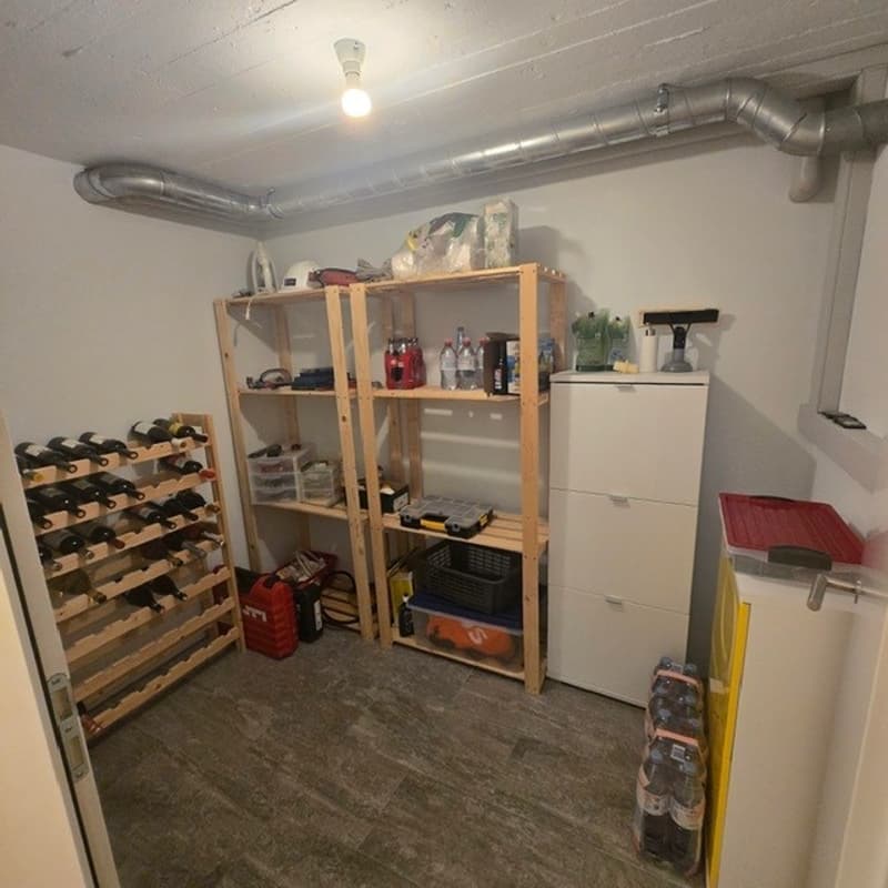 Storage room with wooden shelves, wine rack, white cabinet, bottles, storage boxes, and a red toolbox