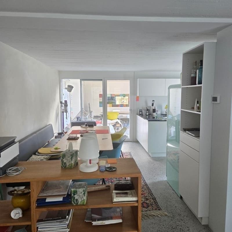 open floor plan, light walls, large dining table, modern kitchen, wooden bookshelf, rug, desk lamp, couch, glass doors, shelves, kitchen island, countertop, cabinets
