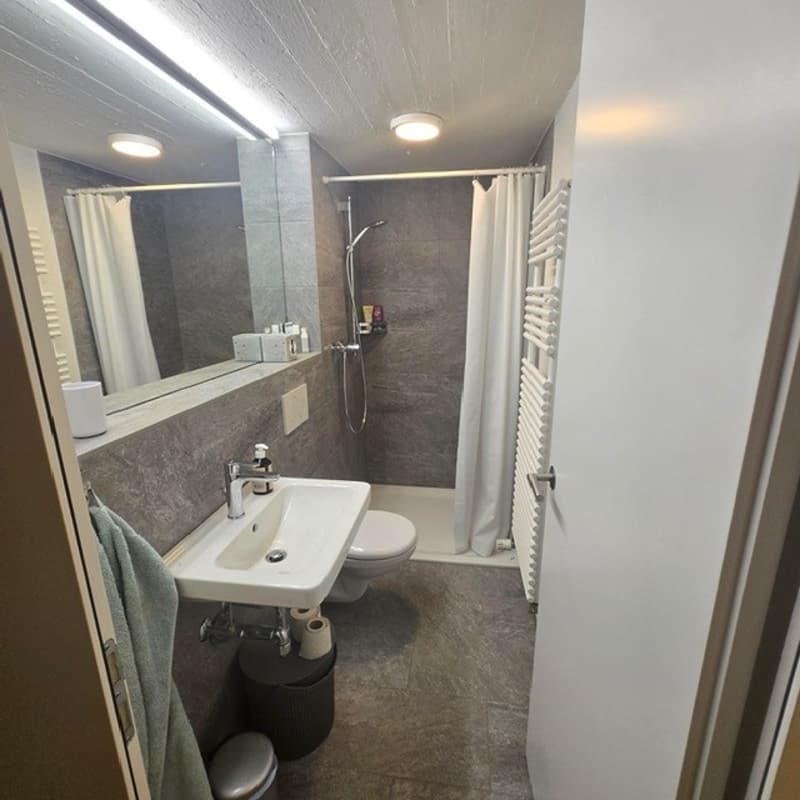 Bathroom: grey walls, grey floor, shower, white sink, toilet, towel rack, mirror, trash can
