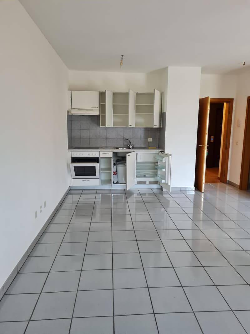 Accogliente appartamento di 1.5 locali a Bellinzona (2)