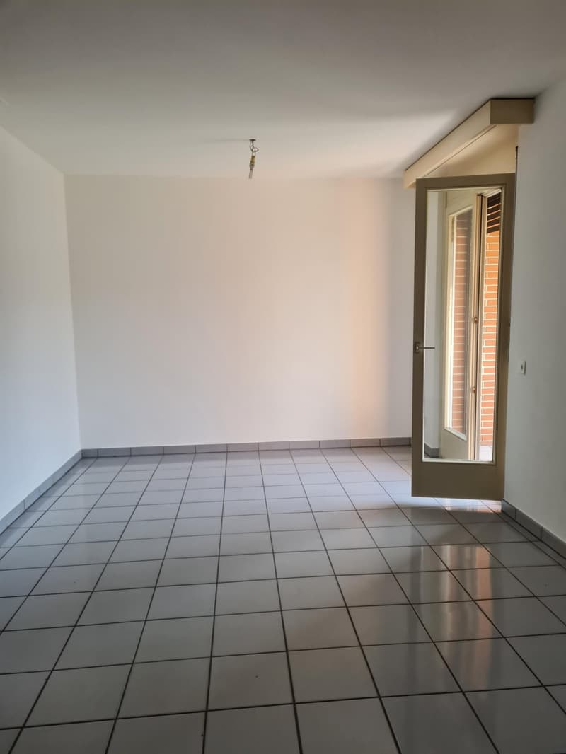 Accogliente appartamento di 1.5 locali a Bellinzona (5)