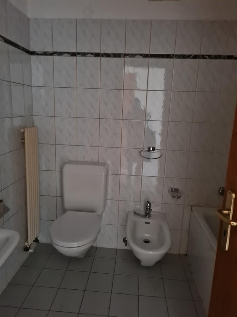 Accogliente appartamento di 1.5 locali a Bellinzona (3)
