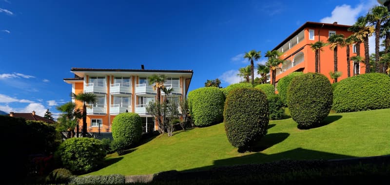Ascona - Affittiamo bell'appartamento in collina (2)