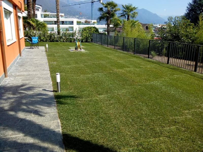 Ascona - Affittiamo bell'appartamento in collina (3)