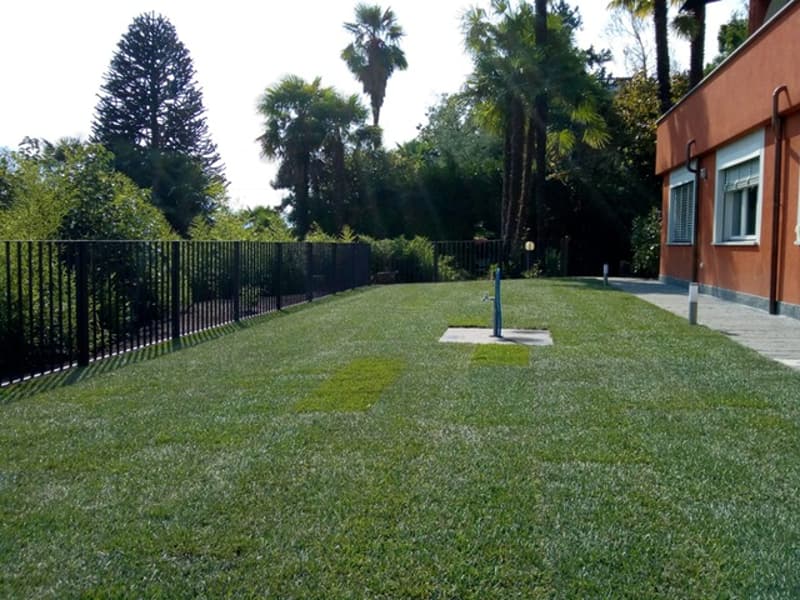 Ascona - Affittiamo bell'appartamento in collina (4)