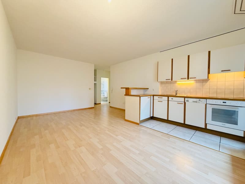 Küche + Wohnzimmer