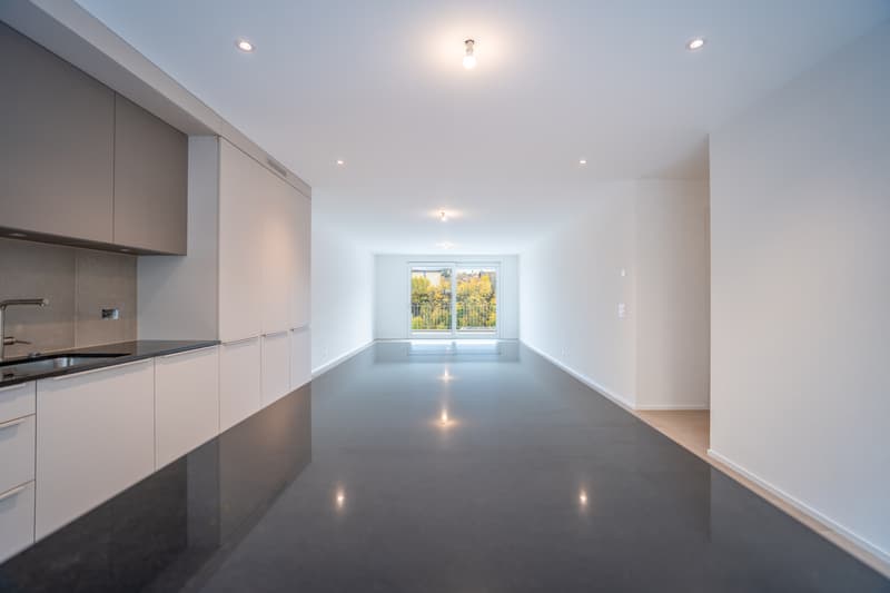 Divercité redefines the art of urban living. (1)