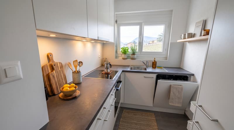 Appartamento 3.5 locali ristrutturato, vista lago, quartiere molto calmo (7)