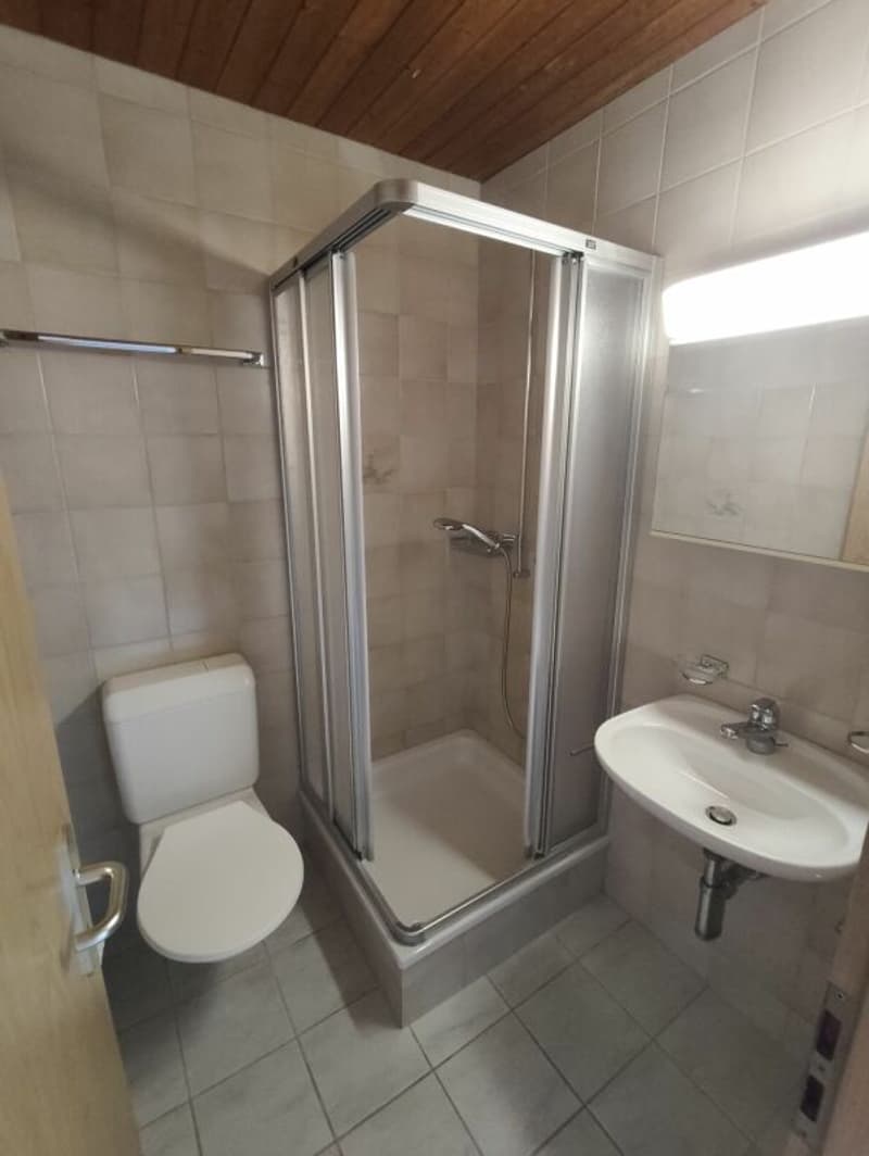 Charmante 2,5-Zimmer-Maisonette (7)