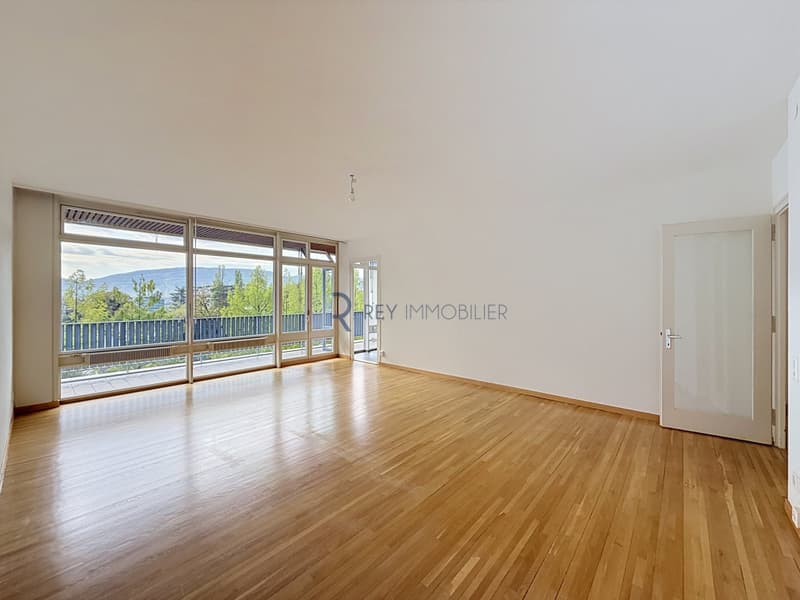 En exclusivité ! Appartement traversant avec terrasse (4)