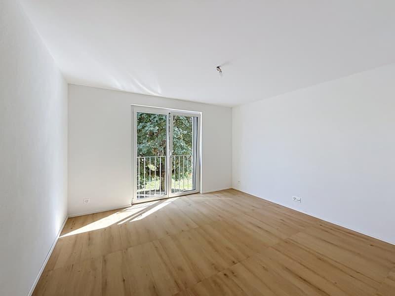 Maison mitoyenne neuve avec terrasse et jardin (4)