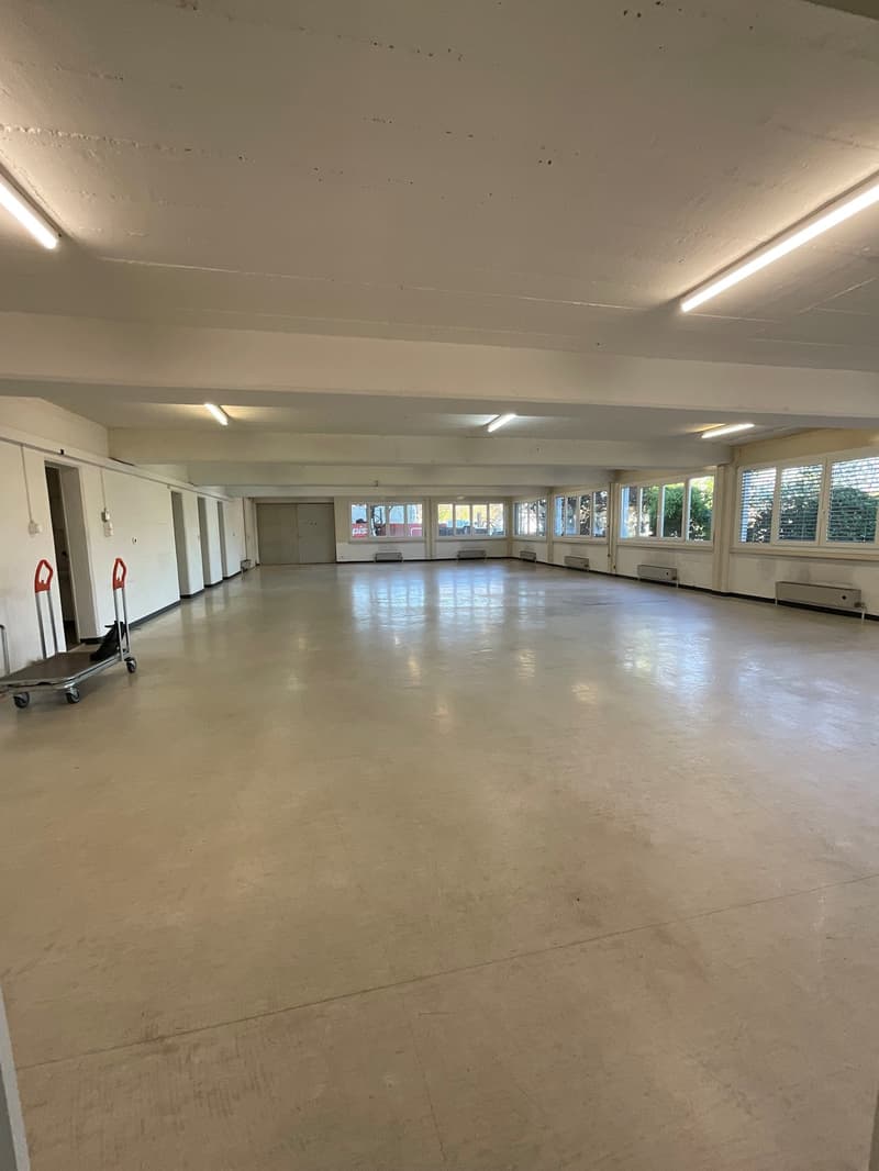 Locale commerciale luminoso di 255 m² con accesso al molo di carico (1)