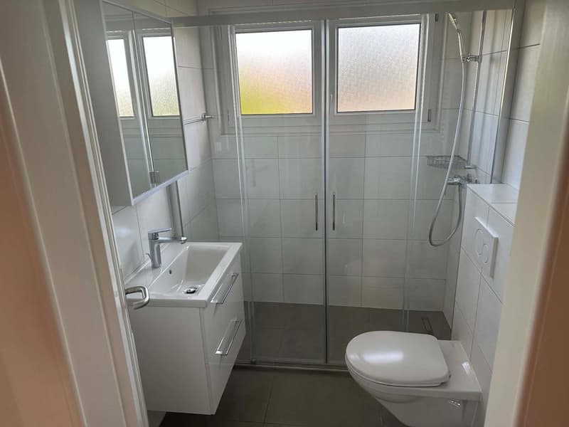 Schönes 4-Zimmer-Apartment in Yverdon (5)