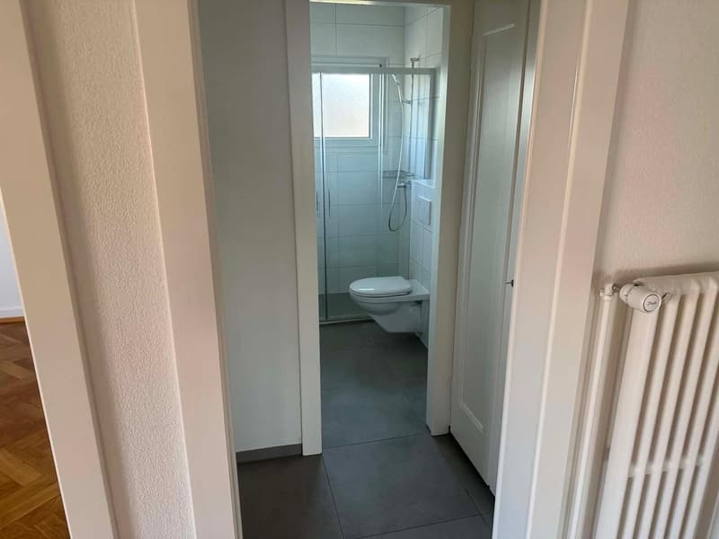 Schönes 4-Zimmer-Apartment in Yverdon (4)