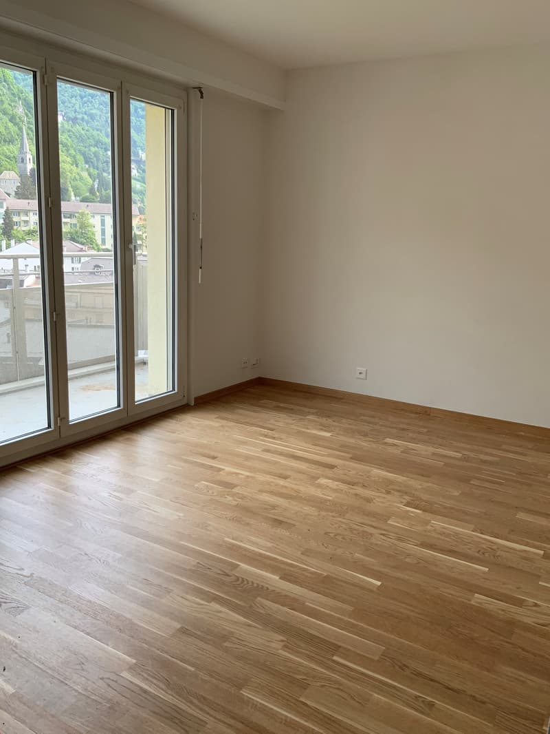 Studio entièrement rénové (4)