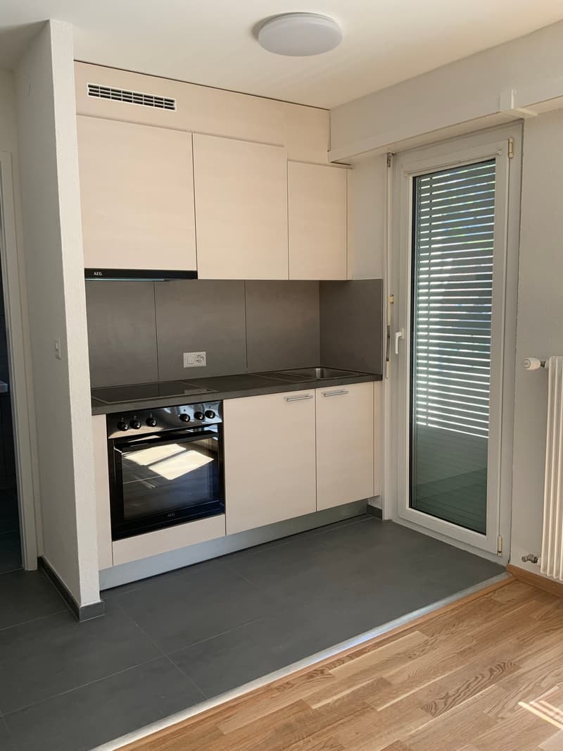 Studio entièrement rénové (1)