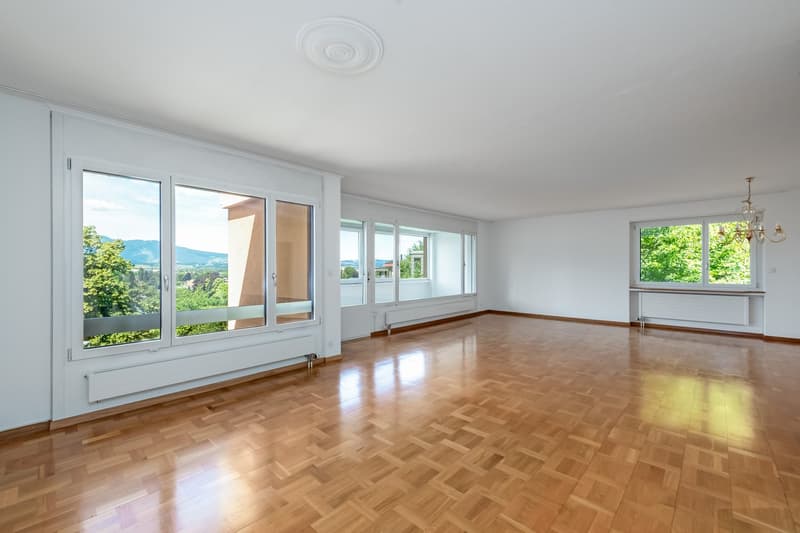 Ampio e luminoso appartamento di 4,5 locali con vista sulla montagna a Thun (7)
