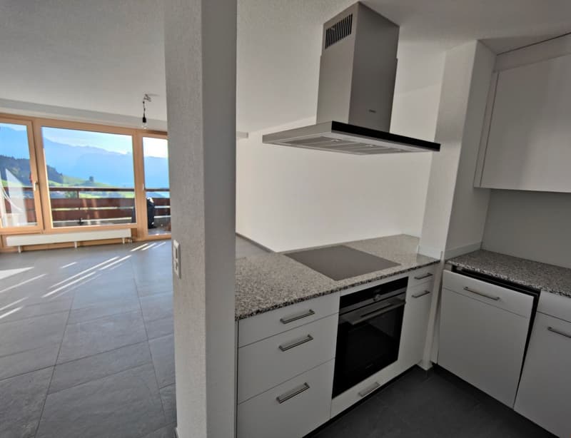 Moderne 2.5-Zimmerwohnung mit top Aussicht (5)