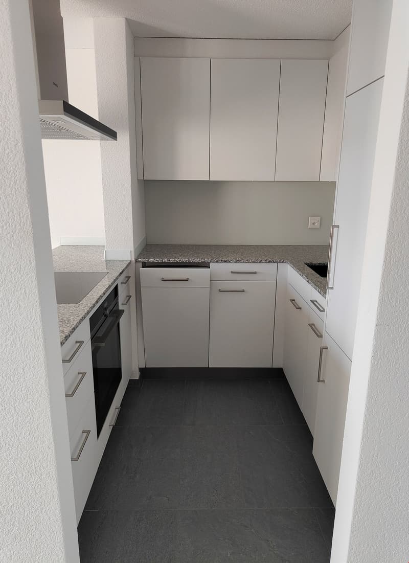 Moderne 2.5-Zimmerwohnung mit top Aussicht (3)