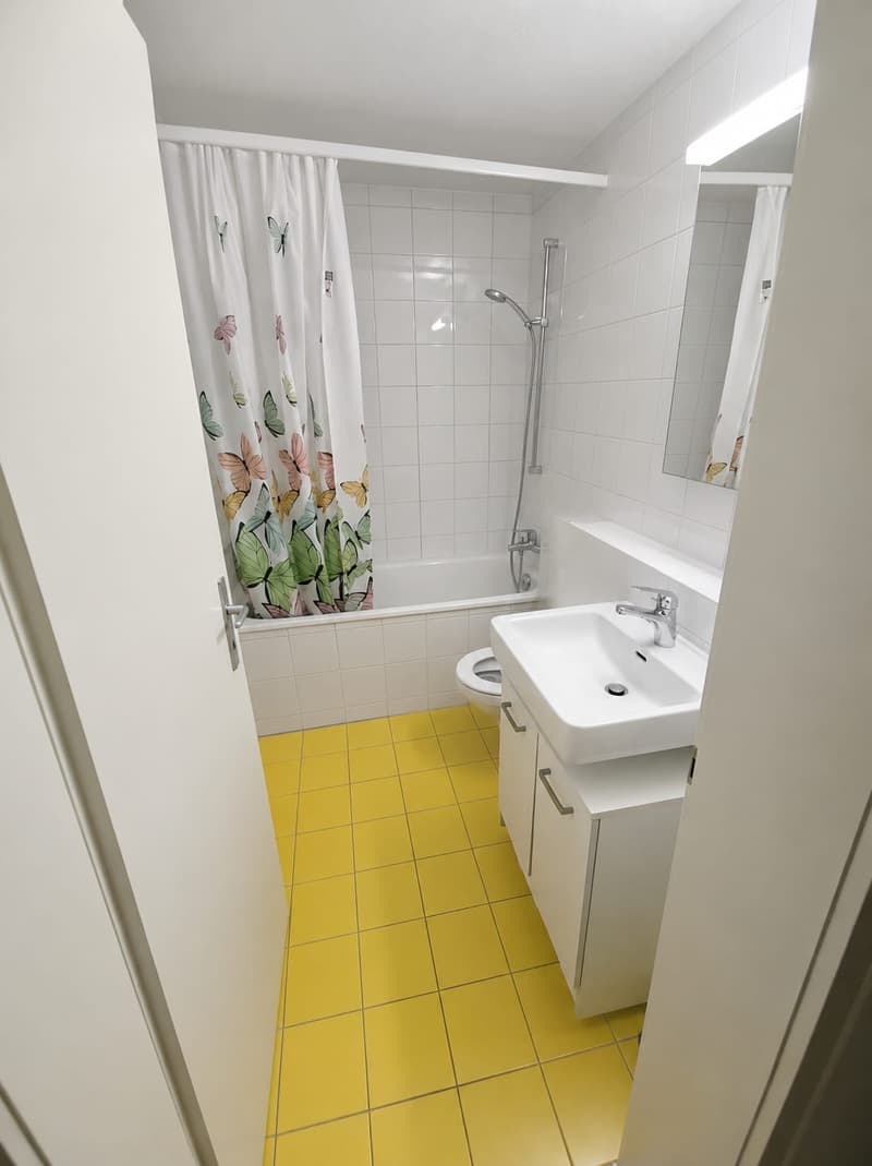Gemütliche 1-Zimmer-Wohnung mit Balkon in Thun (3)