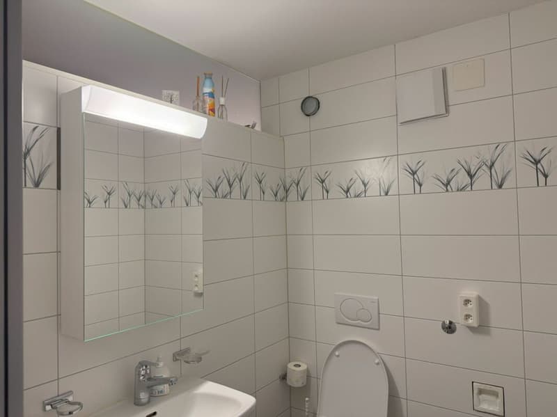 Bright and well-equipped practice and commercial premises (17)