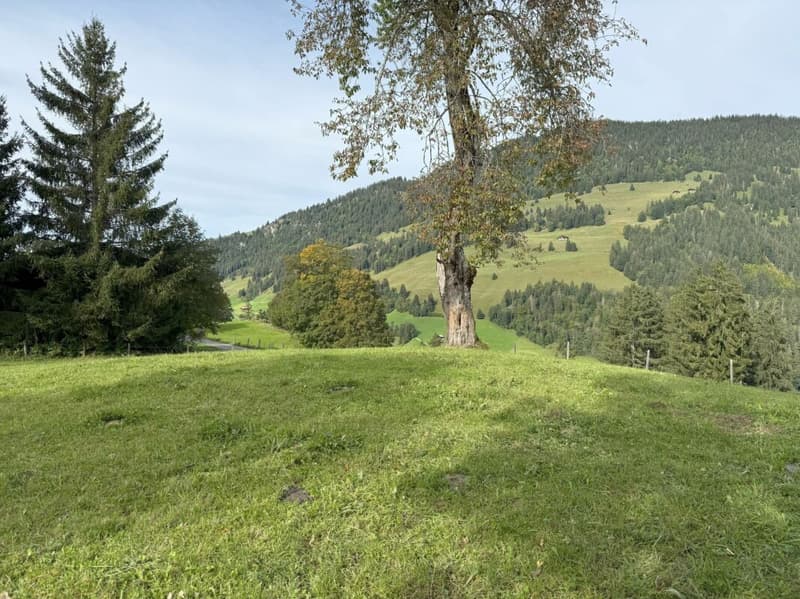 Terrain à bâtir dans un endroit attractif à Zweisimmen (Rinderberg) (4)