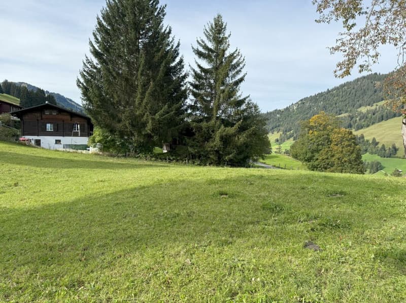 Terrain à bâtir dans un endroit attractif à Zweisimmen (Rinderberg) (5)
