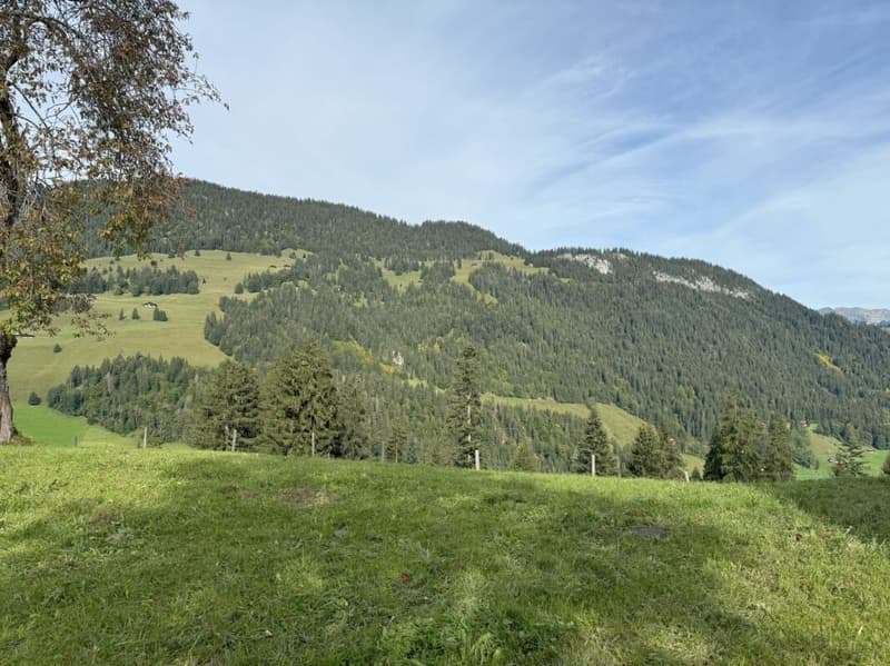 Terrain à bâtir dans un endroit attractif à Zweisimmen (Rinderberg) (2)
