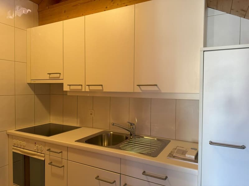 Wohn- und Geschäftshaus an zentraler Lage (25)