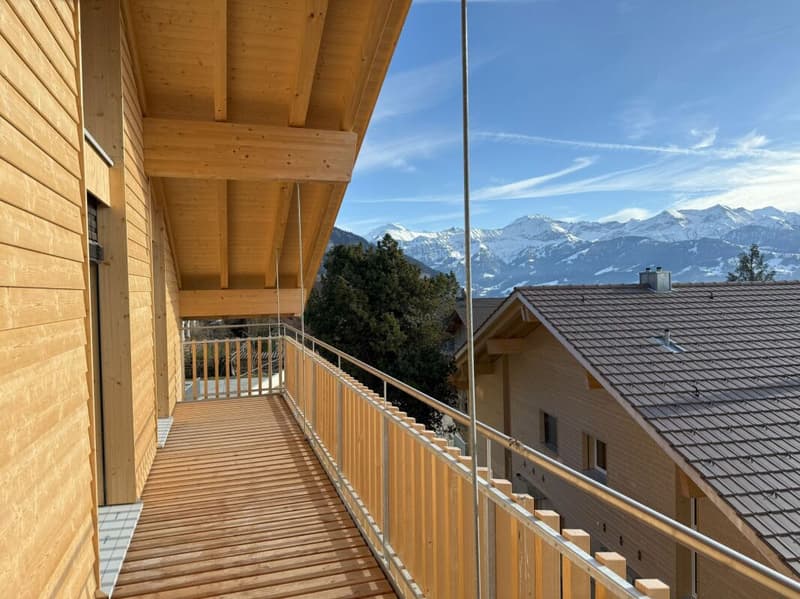 cozy, modern, in a very sunny location with a view (27)