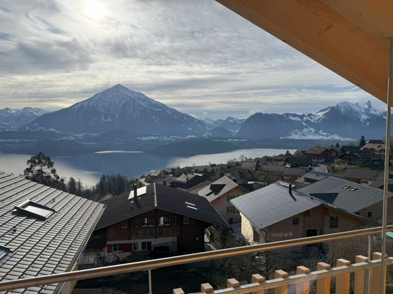 cozy, modern, in a very sunny location with a view (26)