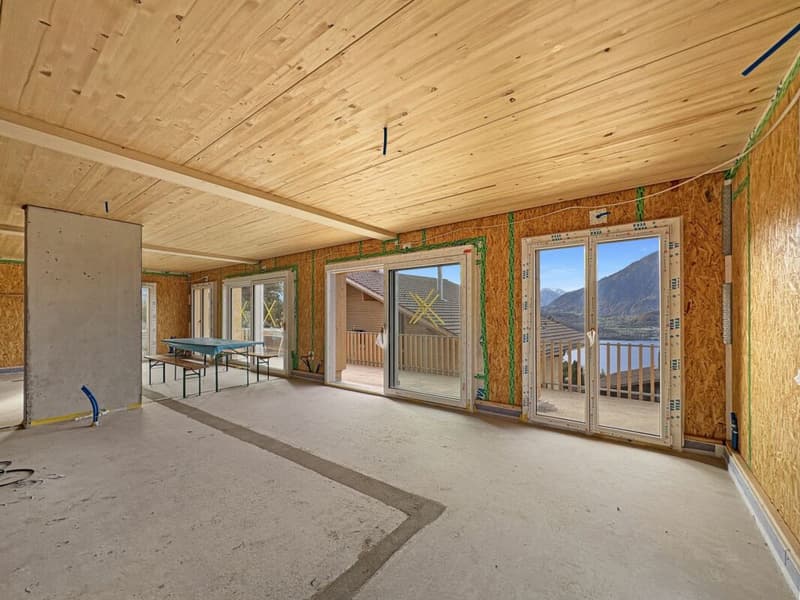 cozy, modern, in a very sunny location with a view (4)