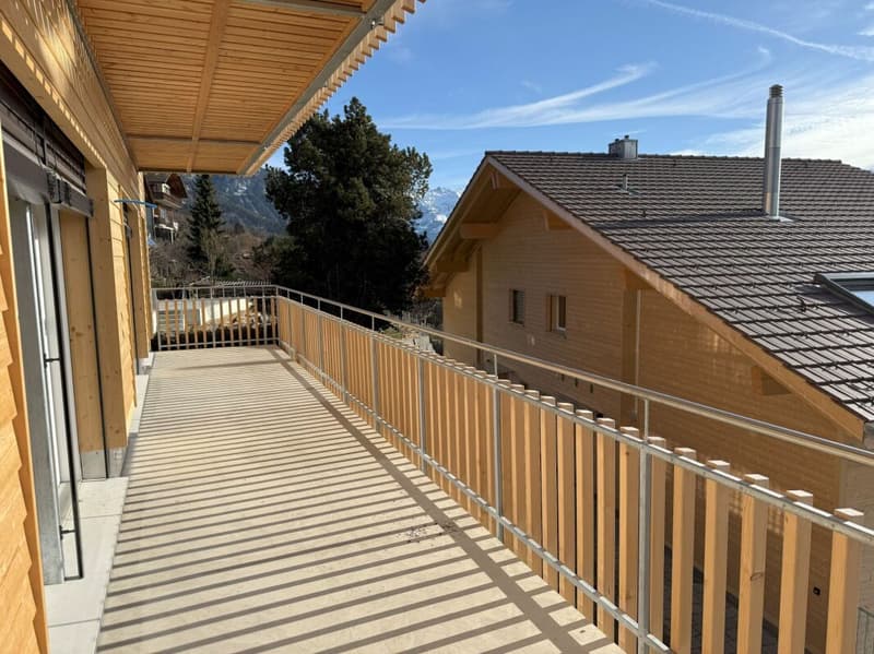 cozy, modern, in a very sunny location with a view (12)